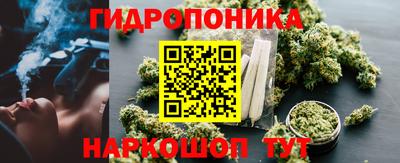 шишки Краснокаменск