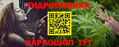 шишки Краснокаменск